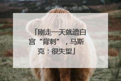 刚走一天就遭白宫“背刺”，马斯克：很失望