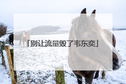 别让流量毁了韦东奕