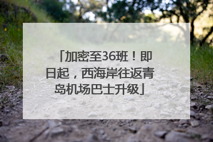 加密至36班！即日起，西海岸往返青岛机场巴士升级