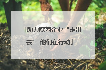 助力陕西企业“走出去” 他们在行动