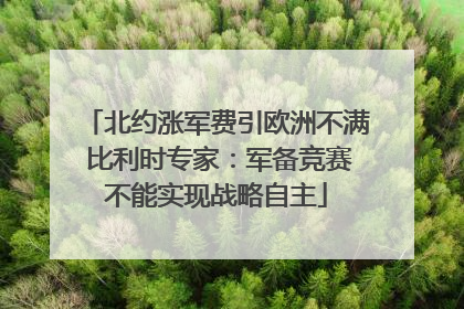 北约涨军费引欧洲不满 比利时专家：军备竞赛不能实现战略自主