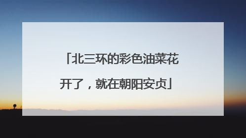 北三环的彩色油菜花开了，就在朝阳安贞