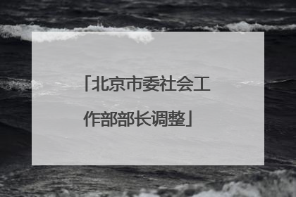 北京市委社会工作部部长调整
