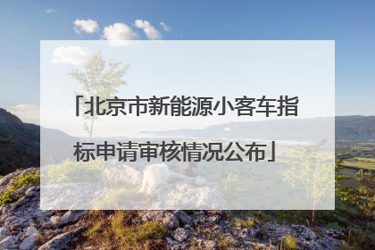 北京市新能源小客车指标申请审核情况公布