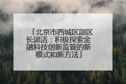 北京市西城区副区长郭洁：积极探索金融科技创新监管的新模式和新方法