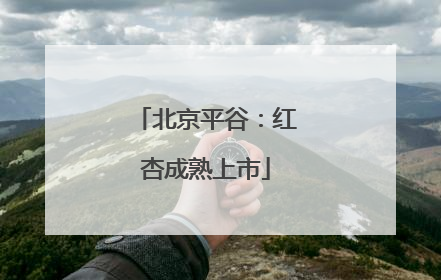 北京平谷：红杏成熟上市