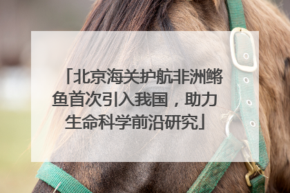 北京海关护航非洲鳉鱼首次引入我国，助力生命科学前沿研究