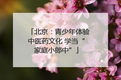 北京：青少年体验中医药文化 学当“家庭小郎中”