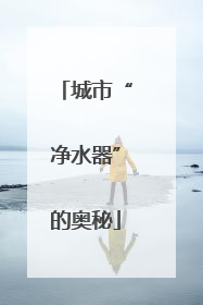 城市“净水器”的奥秘