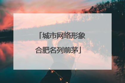 城市网络形象合肥名列前茅