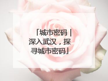 城市密码｜深入武汉，探寻城市密码