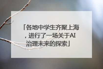 各地中学生齐聚上海，进行了一场关于AI治理未来的探索