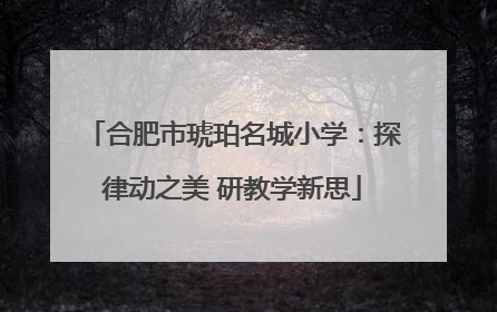 合肥市琥珀名城小学：探律动之美 研教学新思