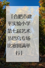 合肥市建平实验小学第七届艺术节巴乌专场比赛圆满举行
