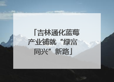 吉林通化蓝莓产业铺就“绿富同兴”新路
