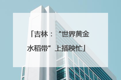 吉林：“世界黄金水稻带”上插秧忙