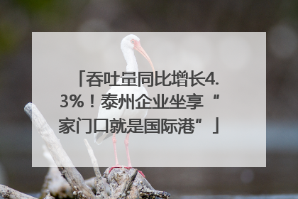 吞吐量同比增长4.3%！泰州企业坐享“家门口就是国际港”