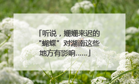 听说，姗姗来迟的“蝴蝶”对湖南这些地方有影响……