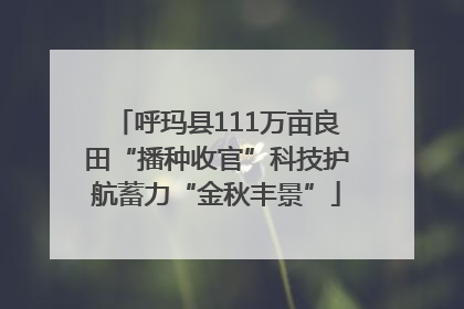呼玛县111万亩良田“播种收官”科技护航蓄力“金秋丰景”