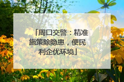 周口交警：精准施策除隐患，便民利企优环境