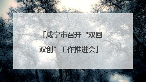 咸宁市召开“双回双创”工作推进会