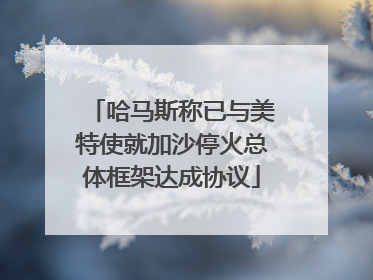 哈马斯称已与美特使就加沙停火总体框架达成协议