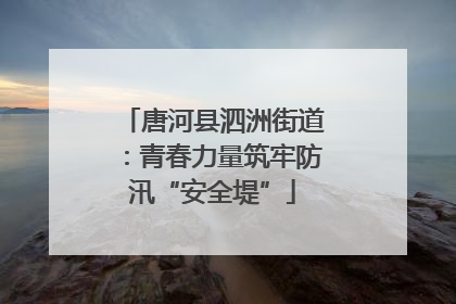 唐河县泗洲街道：青春力量筑牢防汛“安全堤”