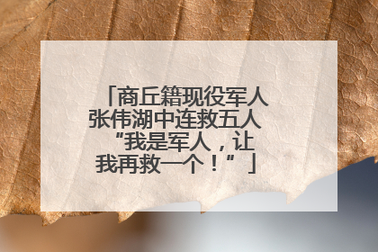 商丘籍现役军人张伟湖中连救五人 “我是军人，让我再救一个！”