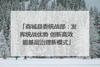 商城县委统战部：发挥统战优势 创新高效能基层治理新模式