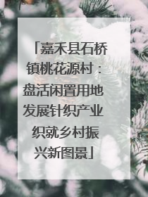 嘉禾县石桥镇桃花源村：盘活闲置用地发展针织产业 织就乡村振兴新图景