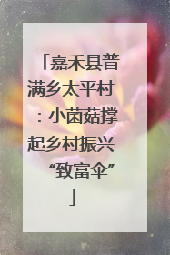 嘉禾县普满乡太平村：小菌菇撑起乡村振兴“致富伞”