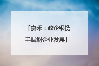 嘉禾：政企银携手赋能企业发展
