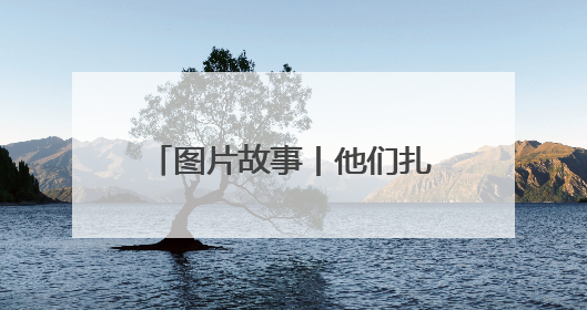 图片故事丨他们扎根深山 只为守护川金丝猴的家园