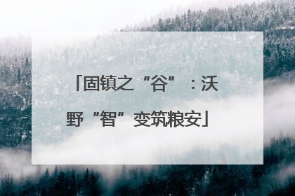 固镇之“谷”：沃野“智”变筑粮安
