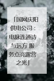 国网庆阳供电公司：电脉连通诗与远方 服务点亮露营之光