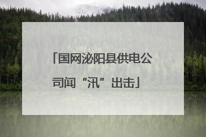 国网泌阳县供电公司闻“汛”出击