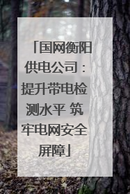 国网衡阳供电公司：提升带电检测水平 筑牢电网安全屏障