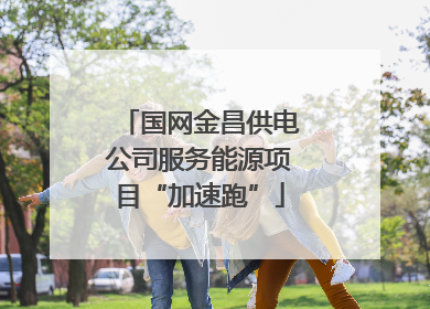 国网金昌供电公司服务能源项目“加速跑”