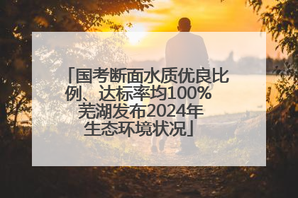 国考断面水质优良比例、达标率均100% 芜湖发布2024年生态环境状况