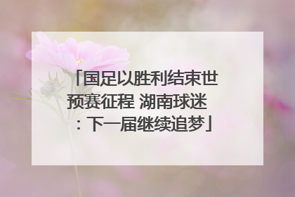 国足以胜利结束世预赛征程 湖南球迷：下一届继续追梦