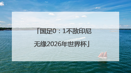 国足0：1不敌印尼 无缘2026年世界杯
