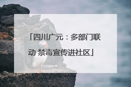 四川广元：多部门联动 禁毒宣传进社区