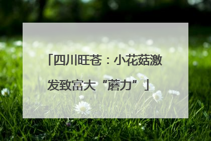 四川旺苍：小花菇激发致富大“蘑力”