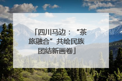 四川马边：“茶旅融合”共绘民族团结新画卷