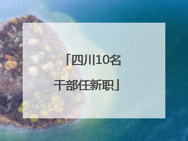 四川10名干部任新职