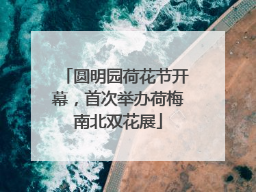 圆明园荷花节开幕，首次举办荷梅南北双花展