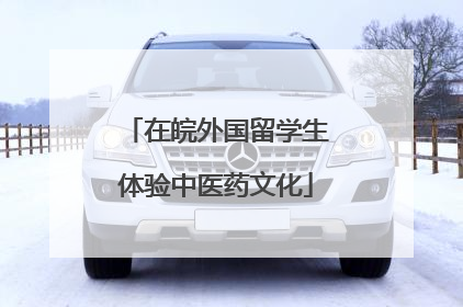 在皖外国留学生体验中医药文化
