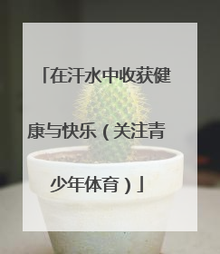 在汗水中收获健康与快乐（关注青少年体育）