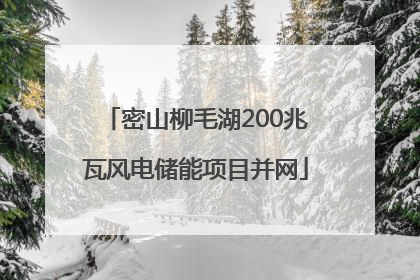 密山柳毛湖200兆瓦风电储能项目并网