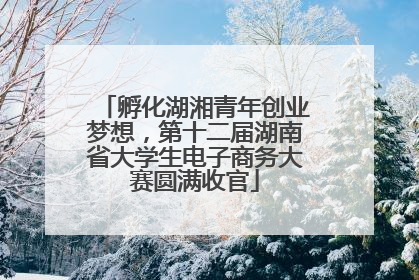 孵化湖湘青年创业梦想，第十二届湖南省大学生电子商务大赛圆满收官